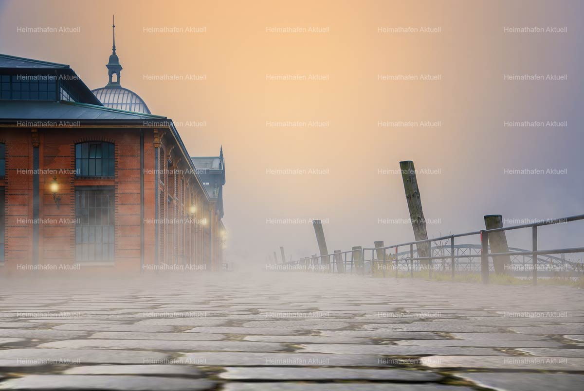 Hamburg-Foto-HAF-00103-Fischauktionshalle Nebel Sonnenaufgang